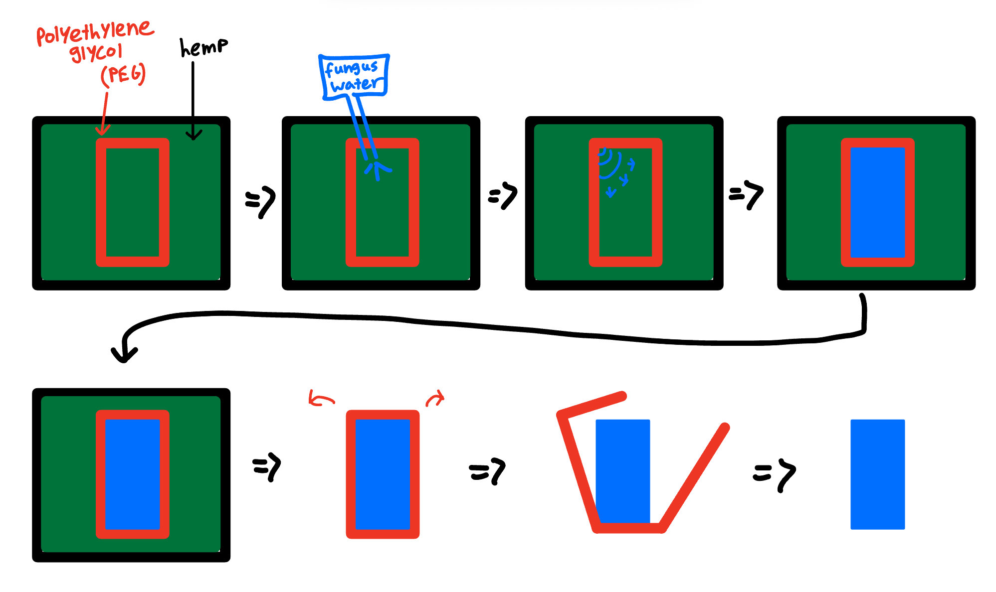 The biocasting process