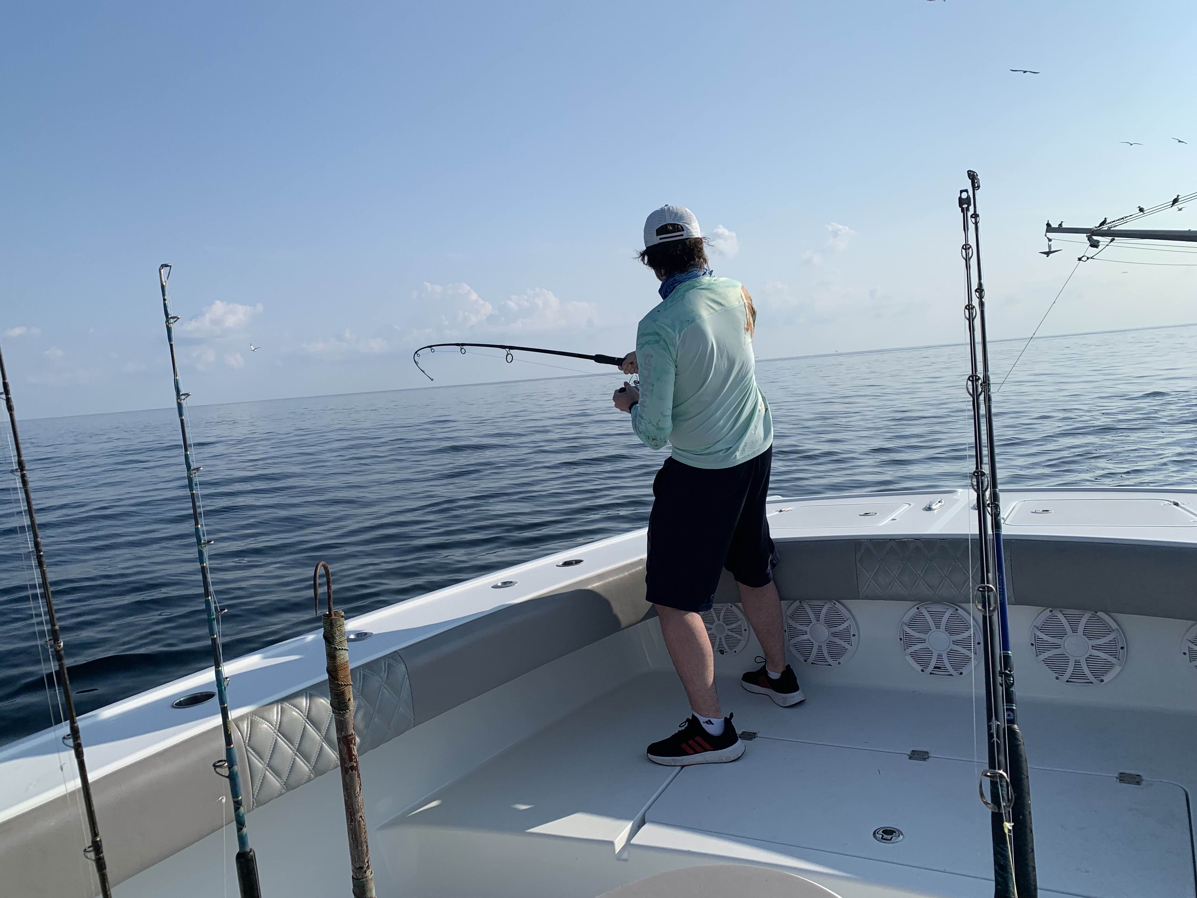 Venice fishing, August 2024
